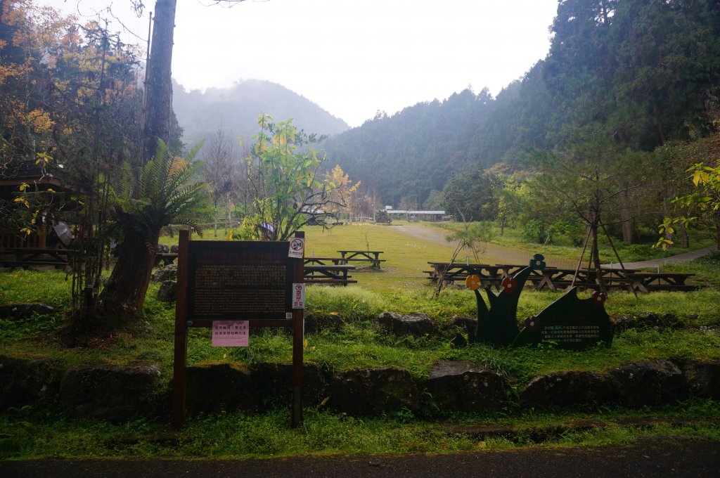 溪頭自然教育園區_2016906