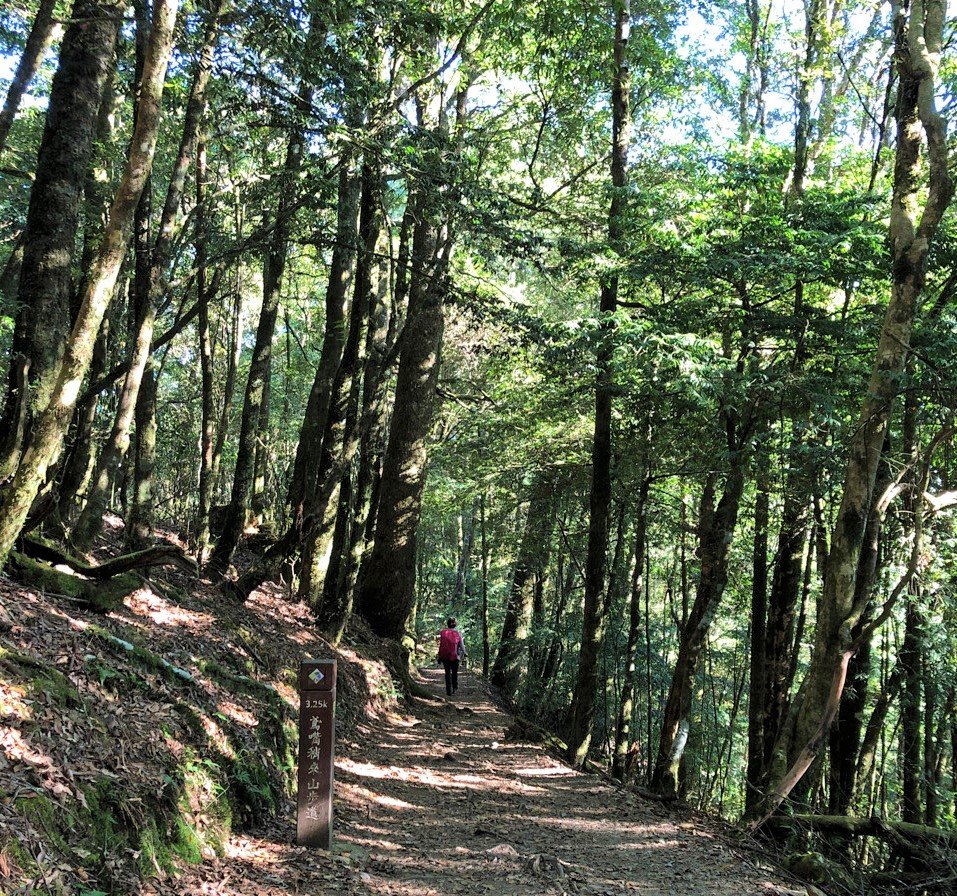 鳶嘴稍來國家步道季秋縱走_1144681