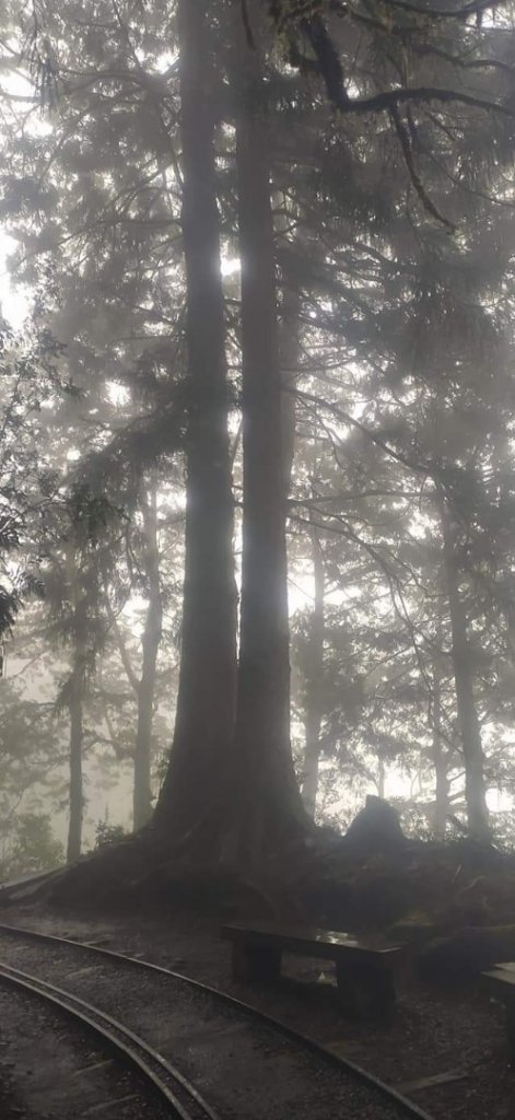 見晴懷古步道 -- 霧茫茫的景色_1318666