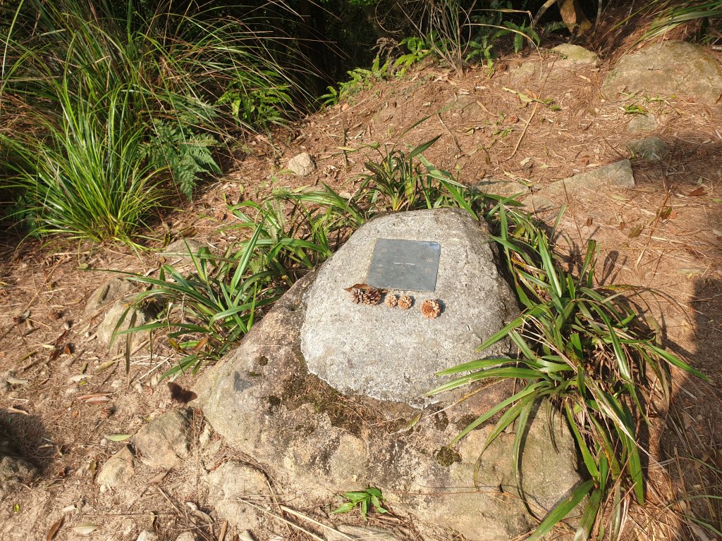 異想天開內湖群山O型走_1556926