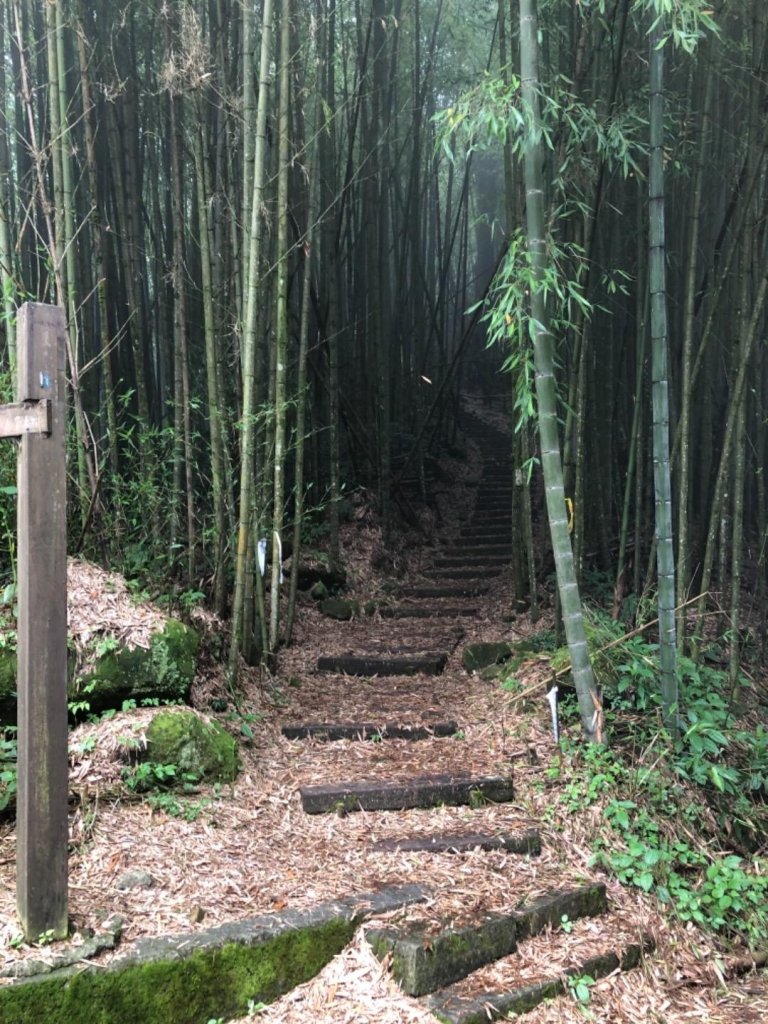 頂湖步道再訪芙蓉山、大凍山、霹靂山_637300