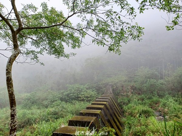 【雲林古坑】適合親子散散步。 華山小天梯情人橋_1681750