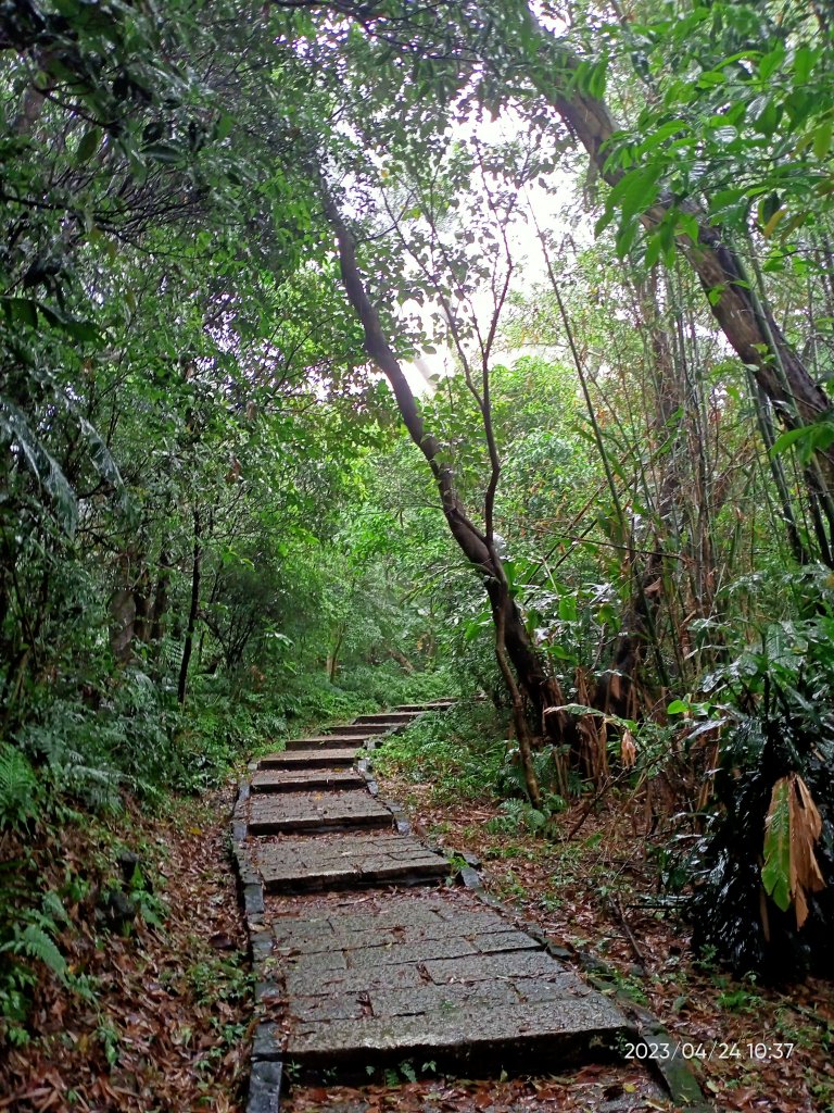 【臺北大縱走 6】象山公園→妙高台→拇指山頂峰登山口→南港山南峰→南港山→九五峰→中華科技大學_2126897