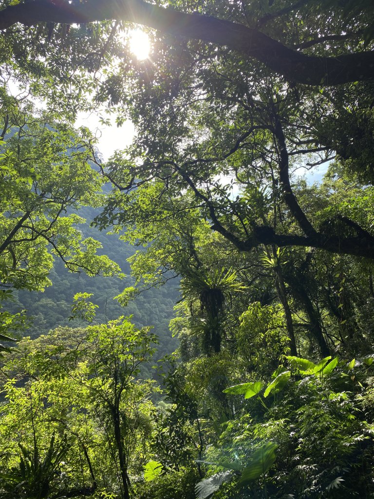 灣潭古道_1440694