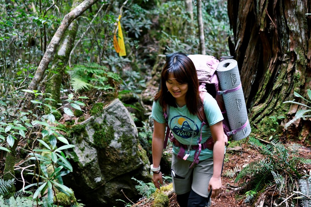 魔幻的畫與魔幻森林／司馬庫斯越嶺鴛鴦湖_1314757