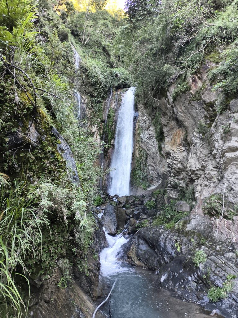 [玉山尋寶任務-07/12] 2025_0824 八通關雲龍瀑布步道_2870687