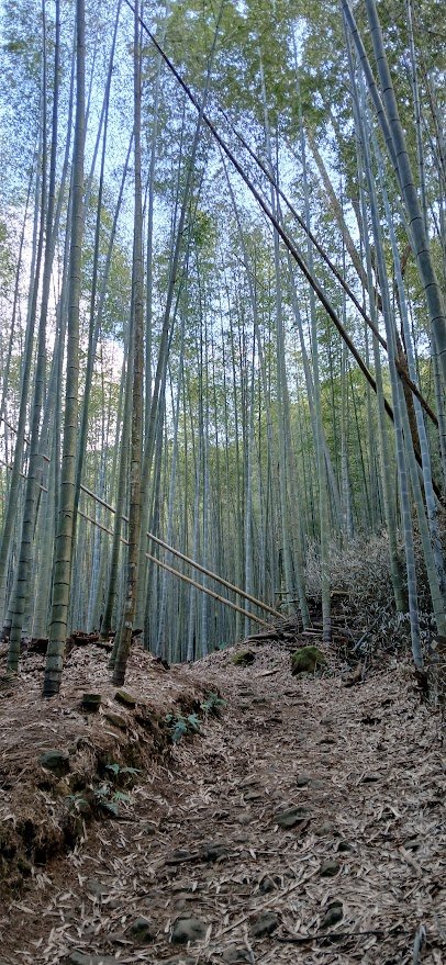 2025 1/27 石壁山_2700010