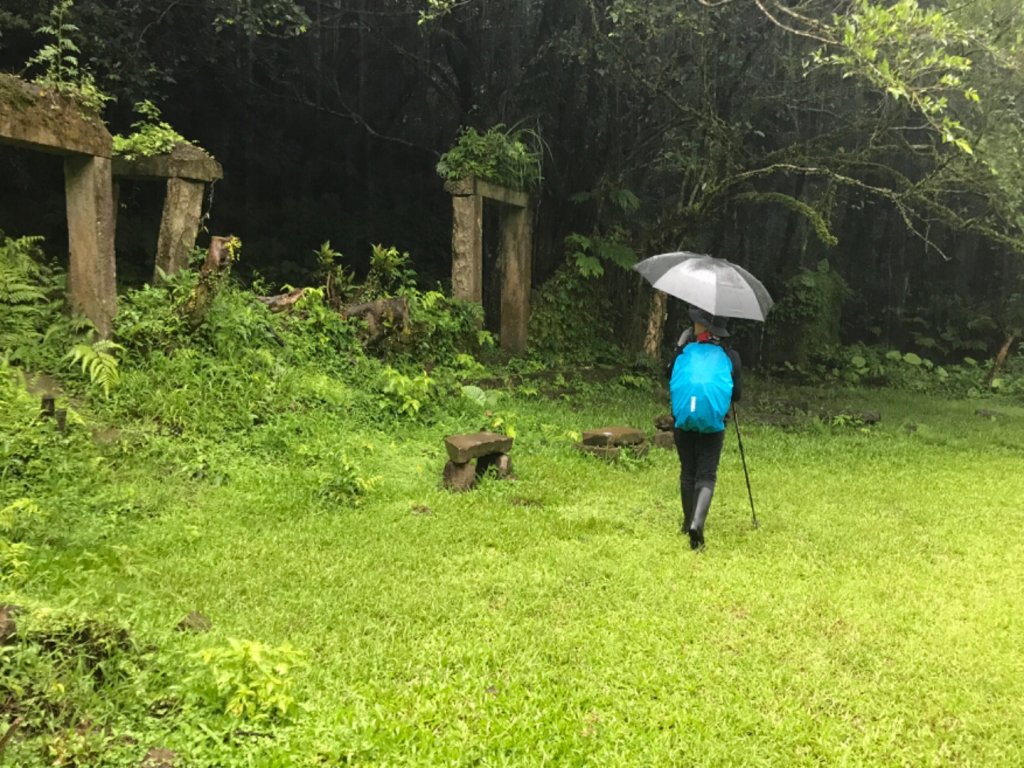 崩山坑古道環走中坑古道封面圖