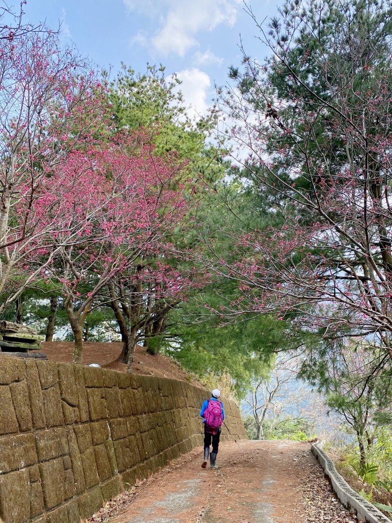 仙女瀑布、暗影山O行 2021.2.19_1276181