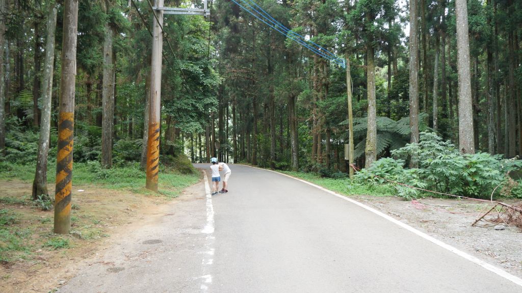 向天湖山之趣_399956