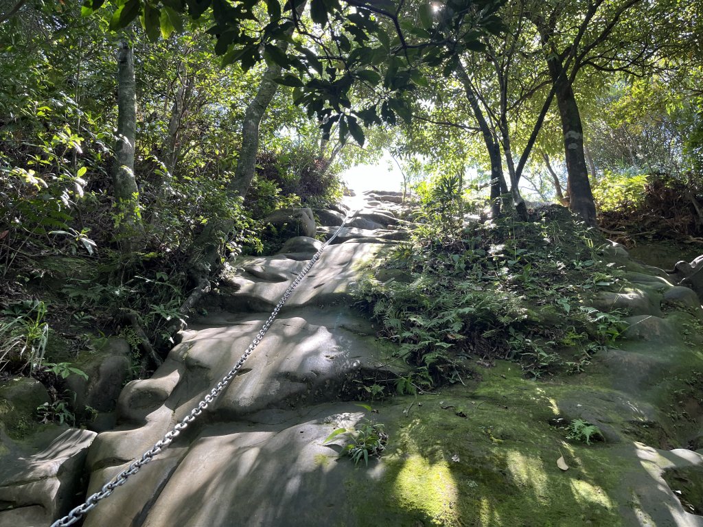 [微笑山線_第九段] 2025_0914 二格山系_天王峰_2889555