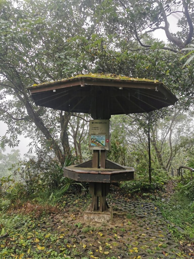 雨中漫步北部山岳-二格山、土庫岳、象山道_1136708