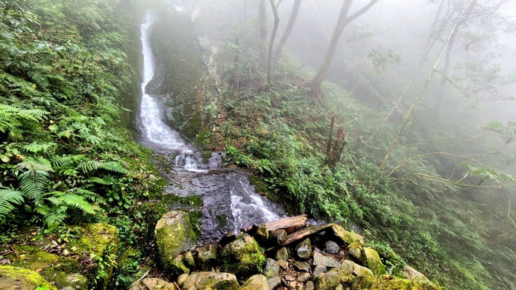 【中級山 】北得拉曼巨木步道，連走內鳥嘴山_2742214