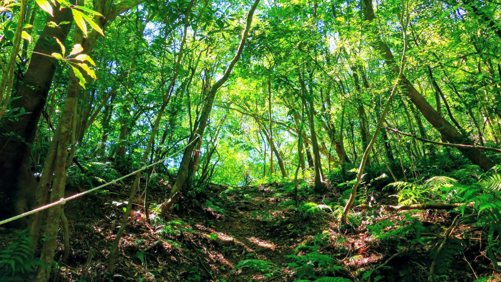 崩山坑越嶺內盤山封面圖