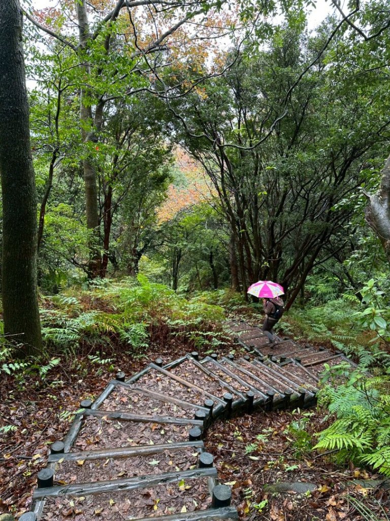 2026年元旦升旗快閃七星順探紫明溪_2973989