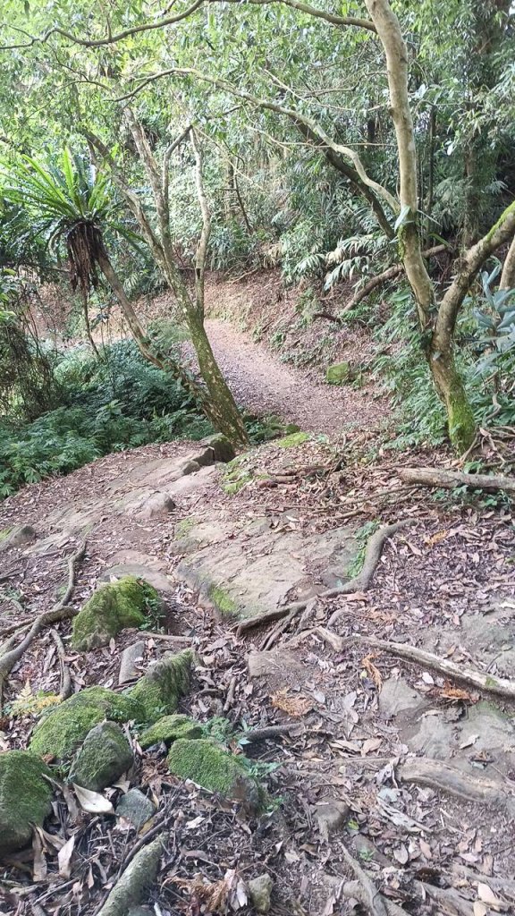 20251004 馬那邦山 - 珠湖 登山口_2904771