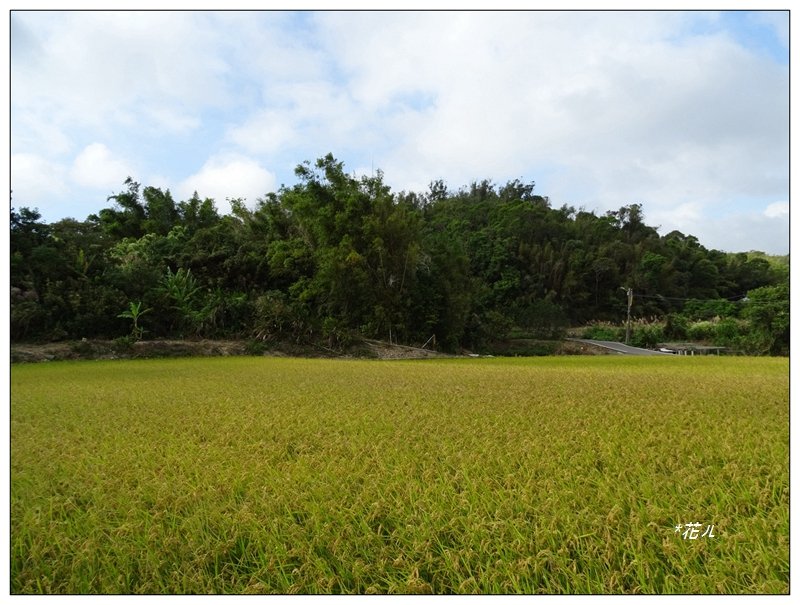 茄苳更山(苗栗/銅鑼)_1535239