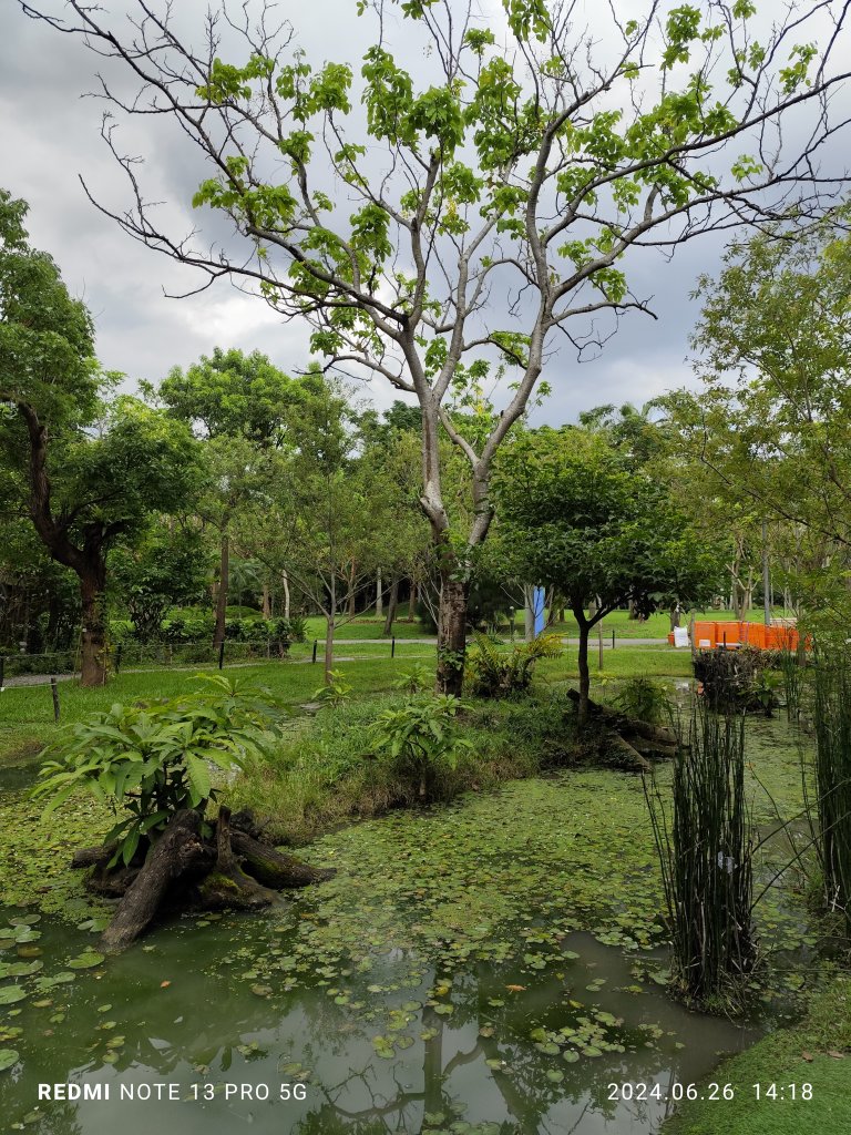 大安森林公園【走路趣尋寶】【臺北健走趣】_2536236