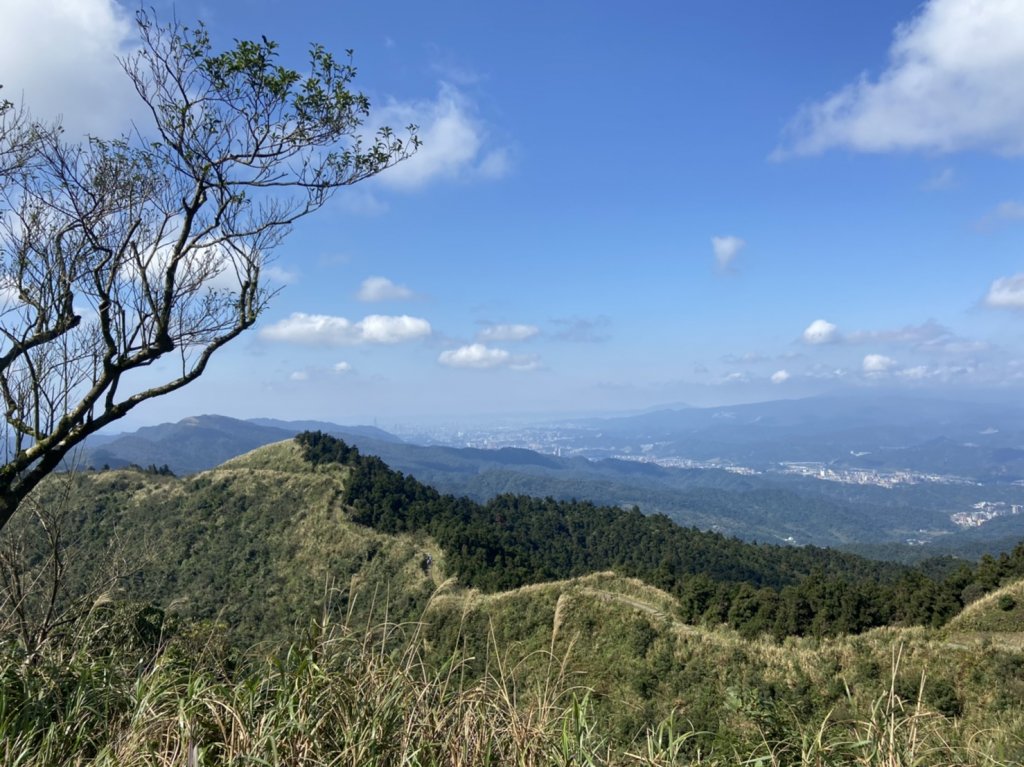 五分山展望超級好!!!_1262529