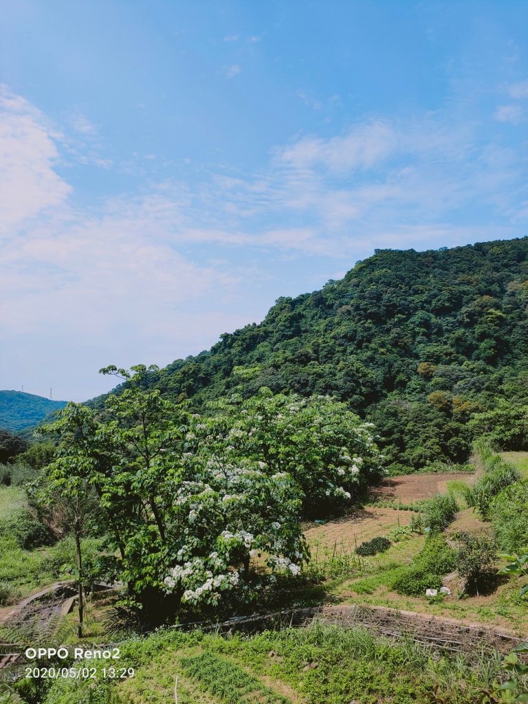 青山瀑布輕鬆走_945012