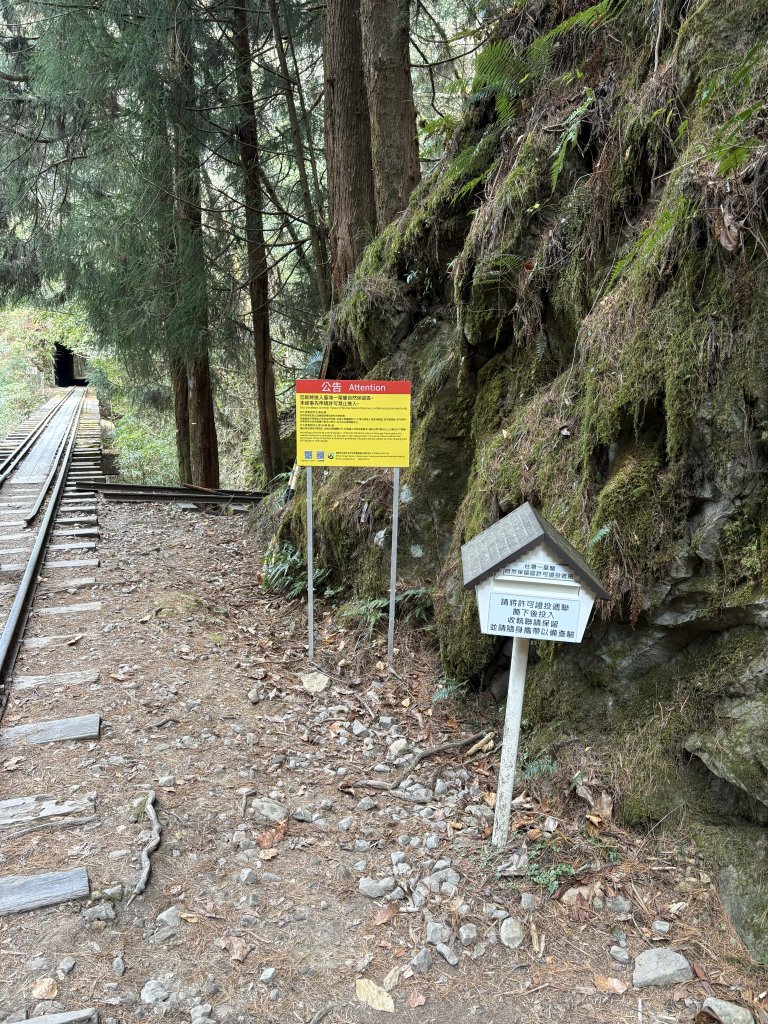 眠月線健行_2992985