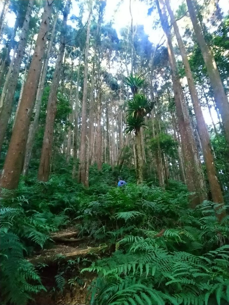 麥巴萊山_627304