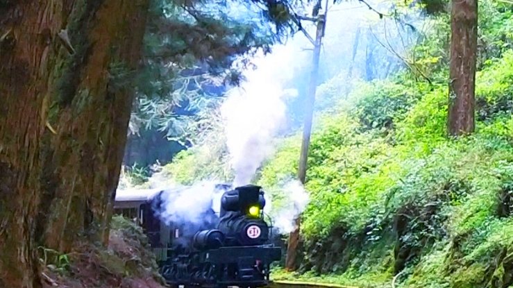 消失眠月線 檜木林百年蒸氣火車行駛_911565