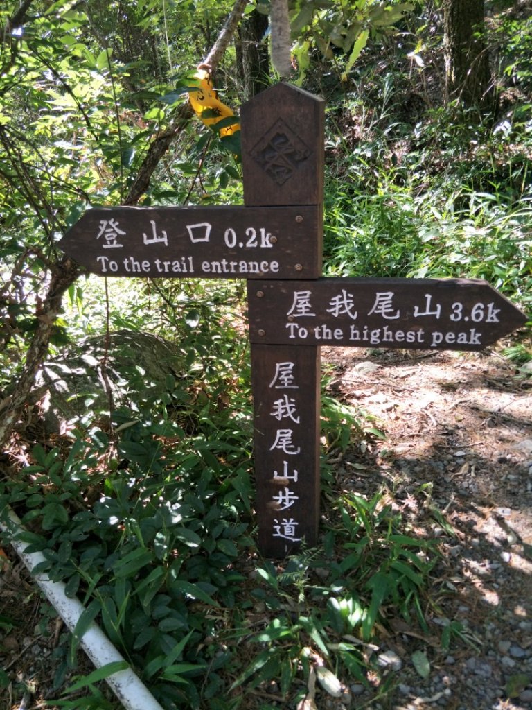 谷關七雄：屋東縱走-屋我尾山-麗陽上_1491958