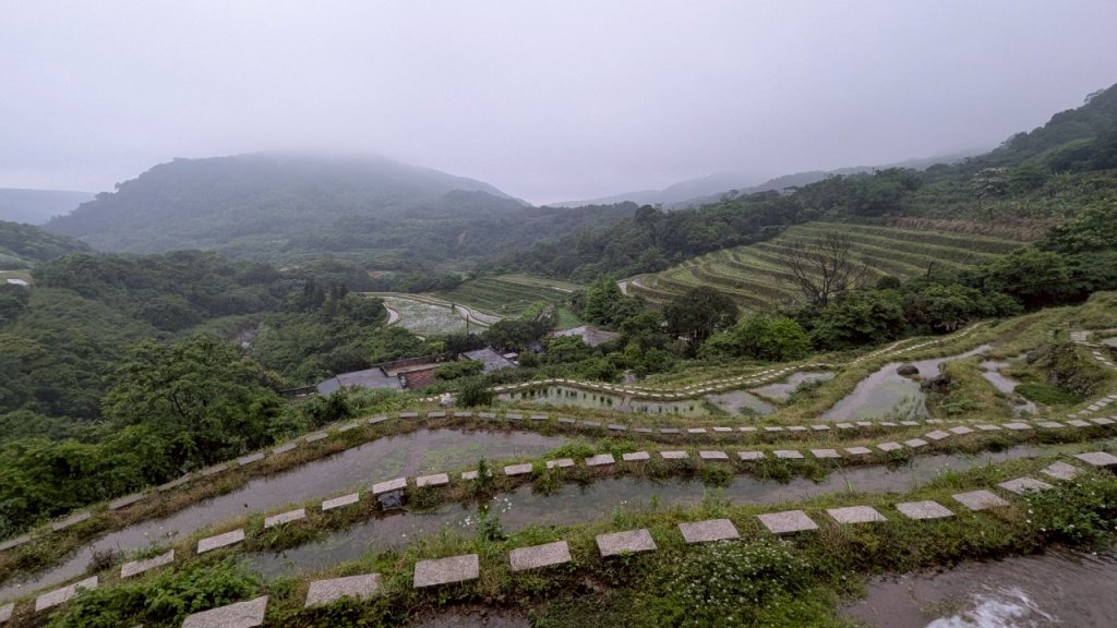114.05.04三芝桐花步道-百年田梯步道-大鵬足湯公園封面圖