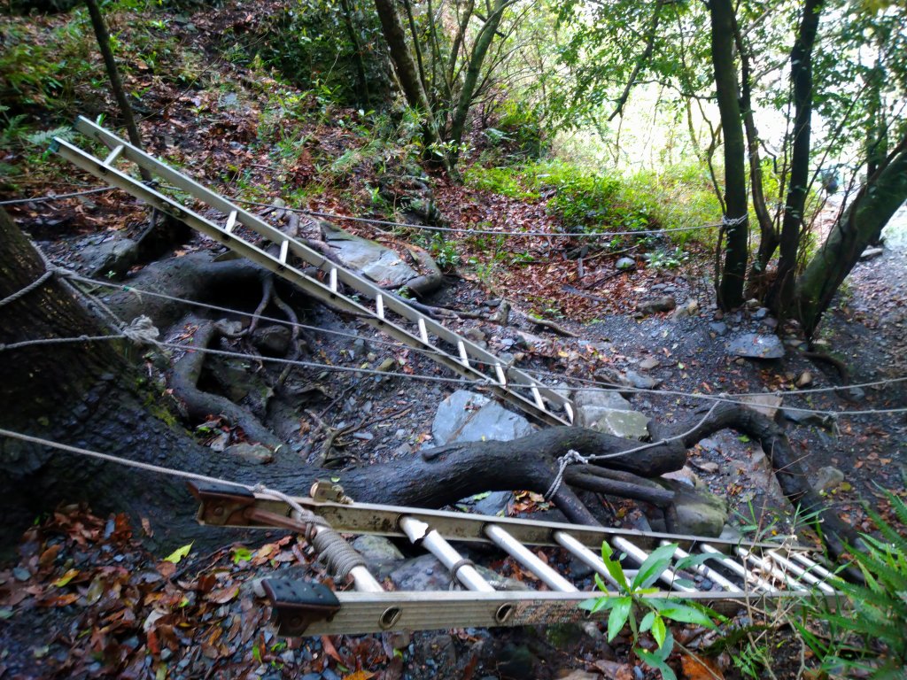 最愛的秘境0-帖比倫峽谷瀑布_1185801