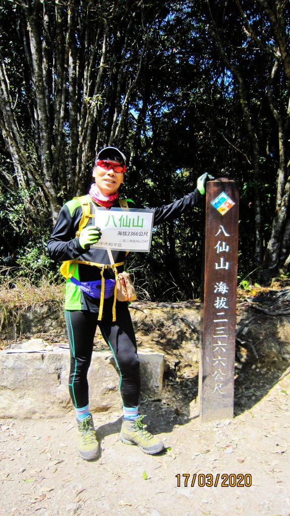 八仙山+佳保台山 ~ 挑戰雄關 辛辣凝香_918590