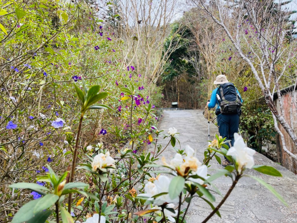 1120226獵鷹尖.一線天｜梅峰-福光山-飯包尖山_2042738