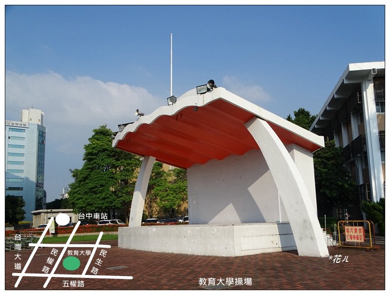 小葉欖仁/黃金雨_1634917