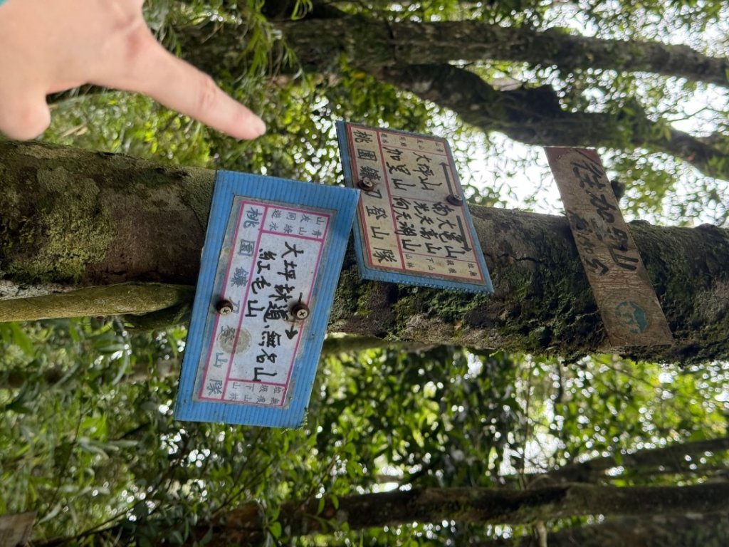 20250607 春谷養鱒場所上加里山 出大坪_2805212