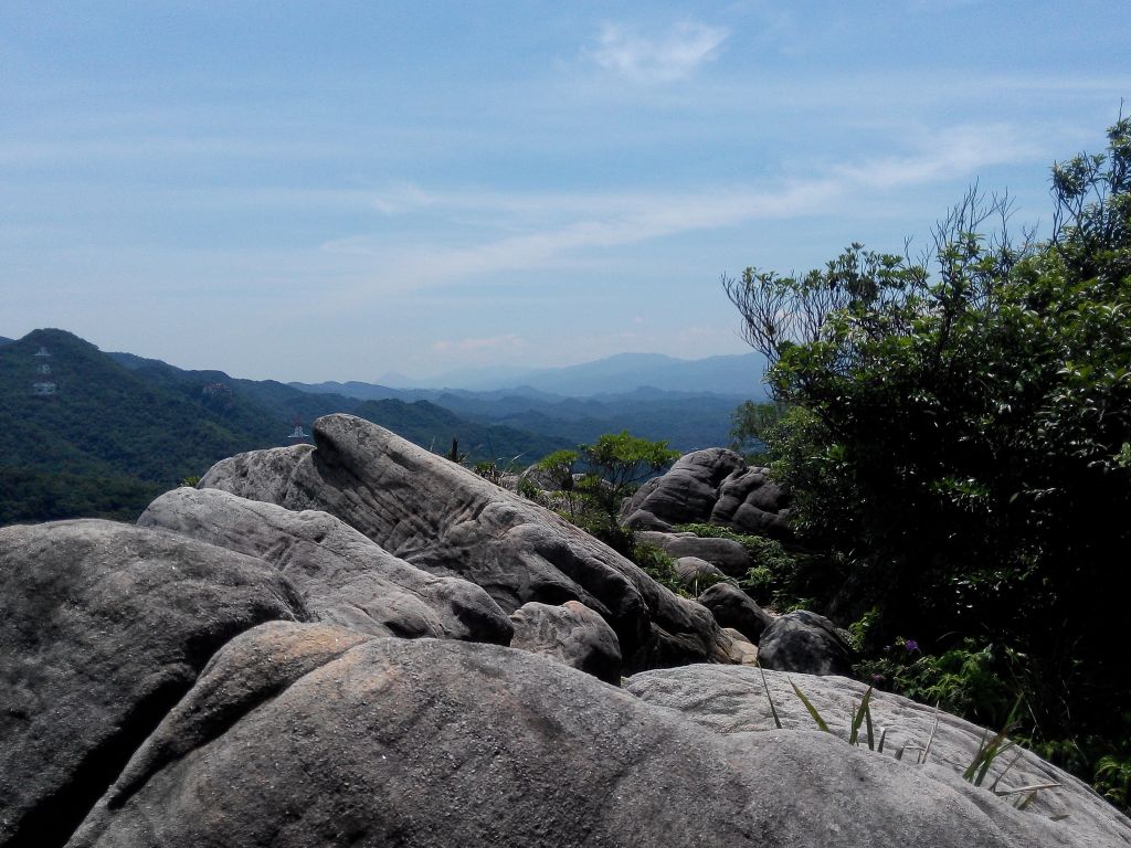 金面山親山步道_342395