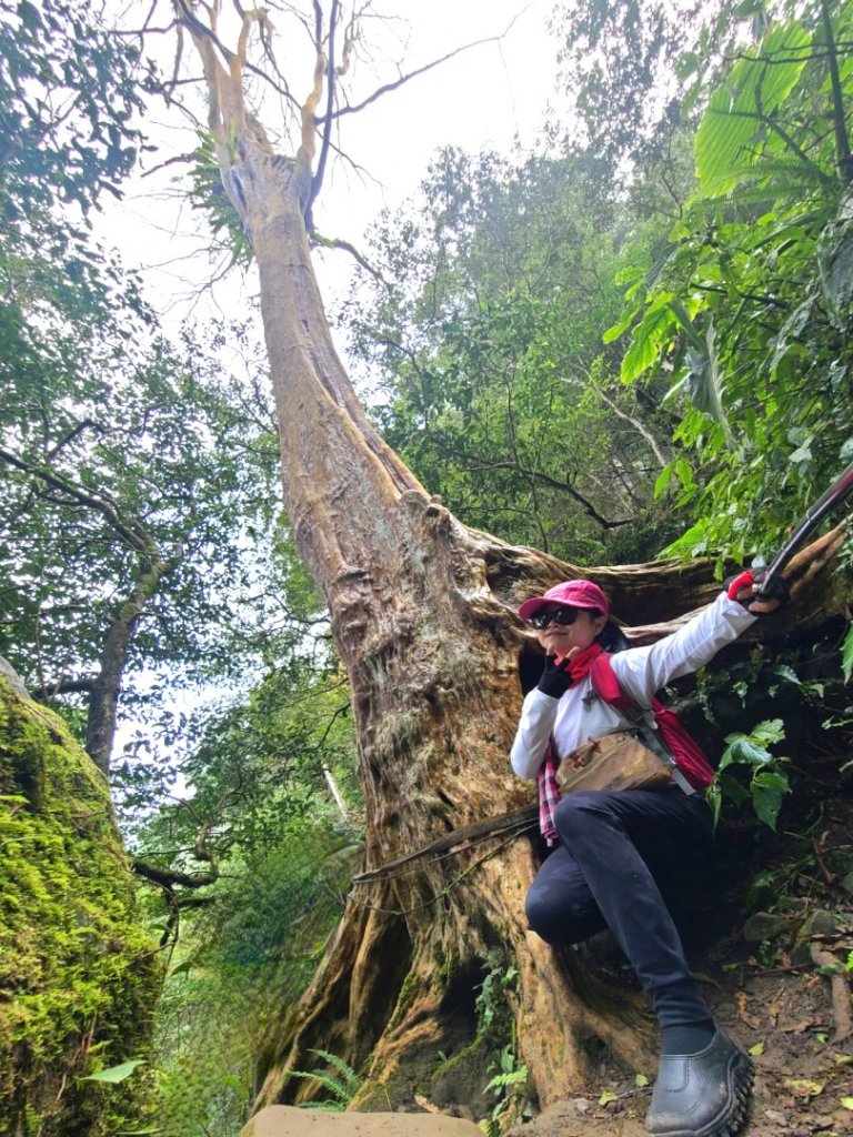 新竹小百岳五指山+一線天_2071286