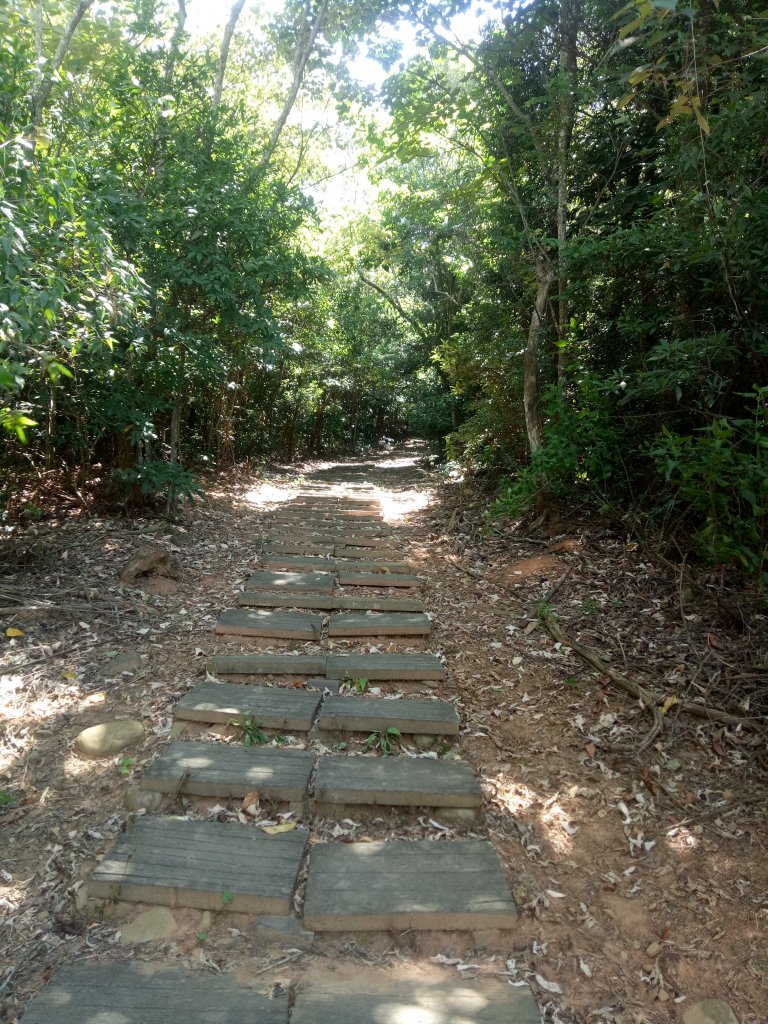 三員縱走(三義至銅鑼)_1899680