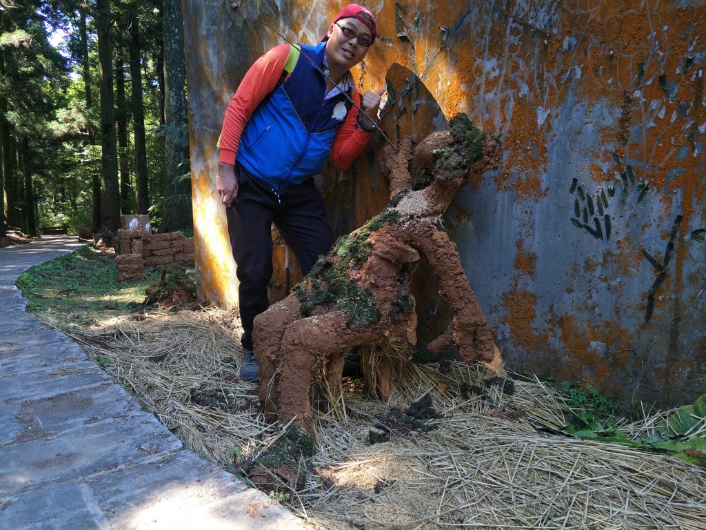 2020 10 28 東眼山自導式步道_1146715