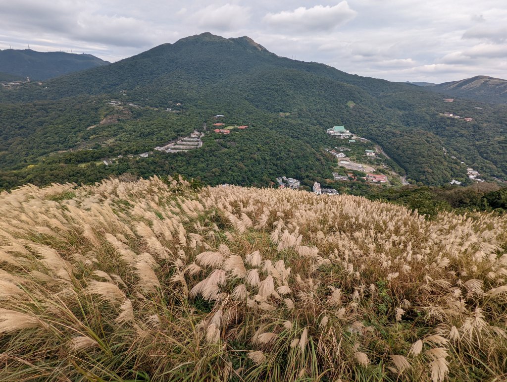 紗帽山步道探訪歷史遺跡、賞芒花_1510078