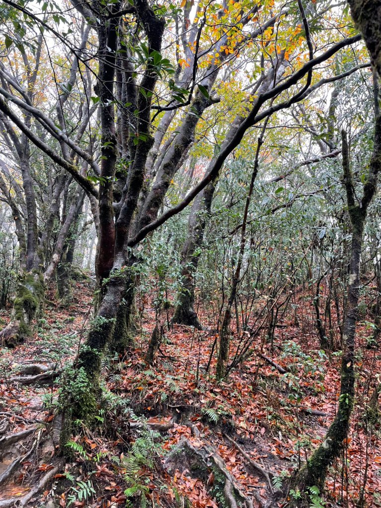 北插天山_2353430