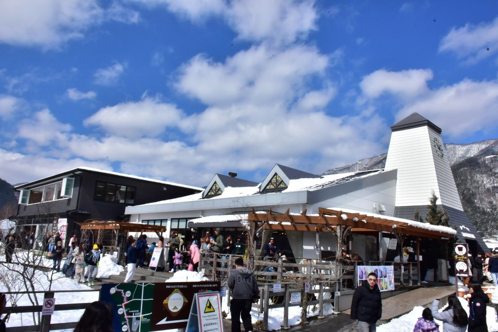 20250316日本旅遊自由行旅拍_2783148