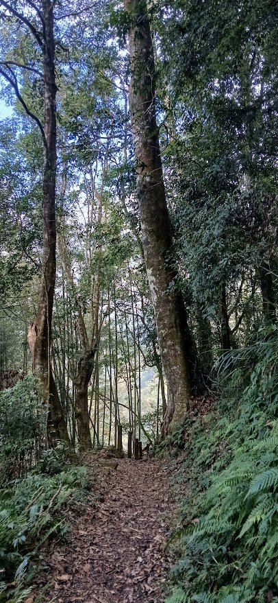 2025 1/27 石壁山_2700016