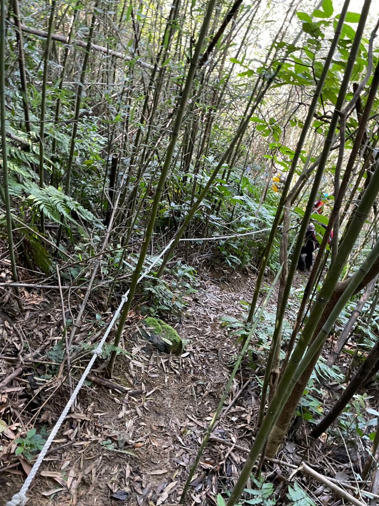 赤蘆古道_2017300