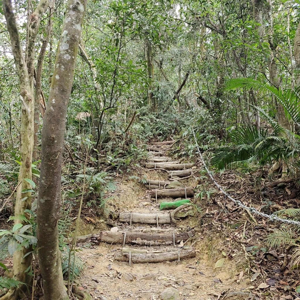 步道巡訪員│初春的尾寮山（沒有春雨）是燥熱_871842