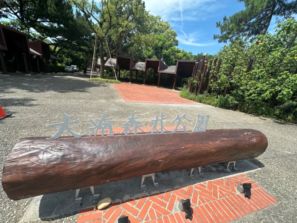 霄裡好風光，運動樂悠遊！封面圖