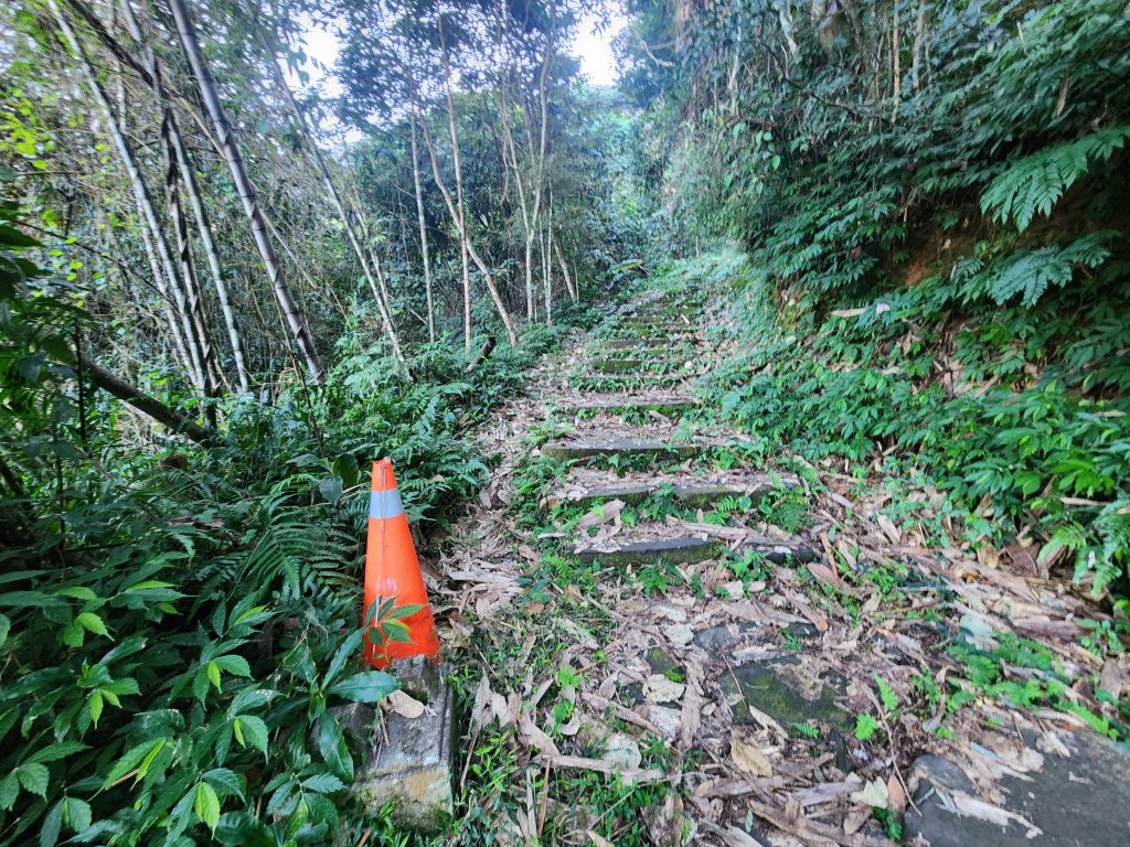 20250216水社大山潭南線_2746109