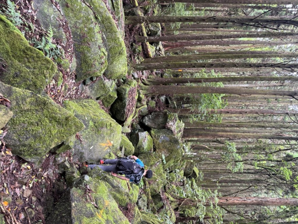 20250607 春谷養鱒場所上加里山 出大坪_2805218