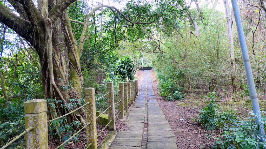 老崎古道(後花園步道)_2676833
