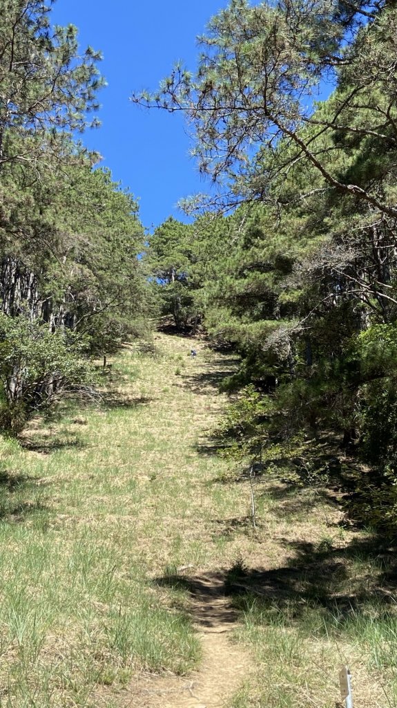 志雪劍之旗_1488496