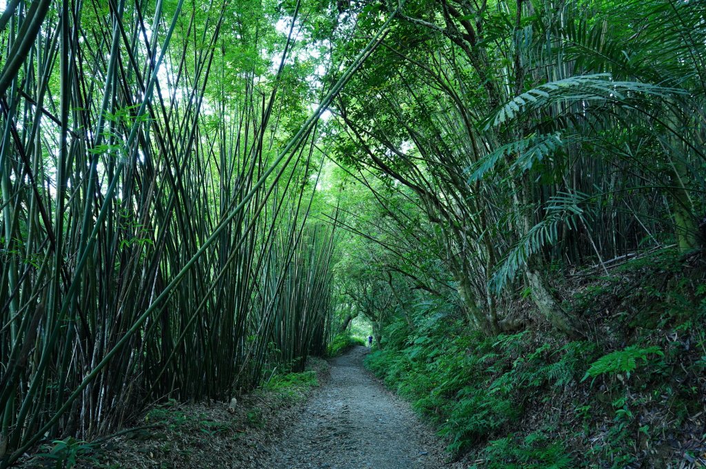 宜蘭 礁溪 三角崙山_2548262